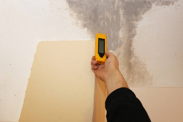 Asbestos and Lead Testing During Mold Inspection in Clarkesville, GA