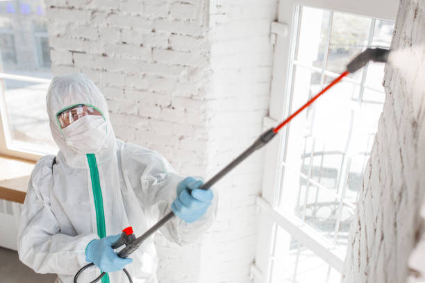 Best HVAC Mold Inspection and Cleaning  in Clarkesville, GA
