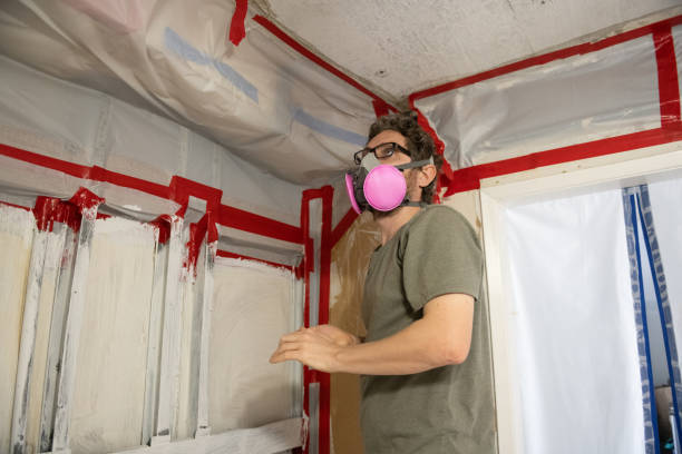 Best Biohazard Mold Removal  in Clarkesville, GA